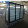DDW/DDN-Split Frozen Glass Door Cabinet 
