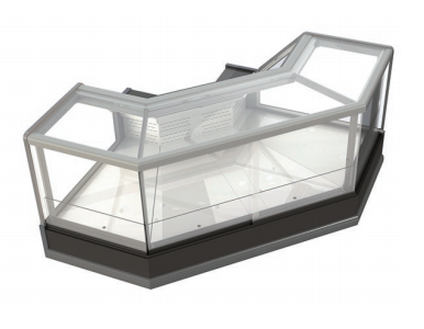 DSF DSB (3)