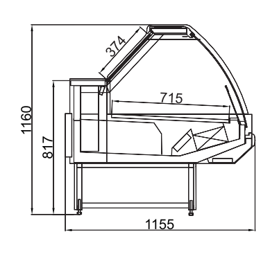 DSS DSW (2)